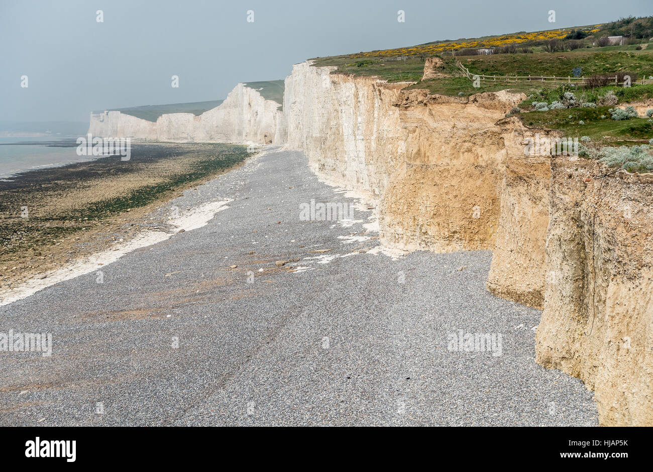 Sette sorelle Chalk Cliffs da Birling Gap sulla costa del Sussex England Foto Stock