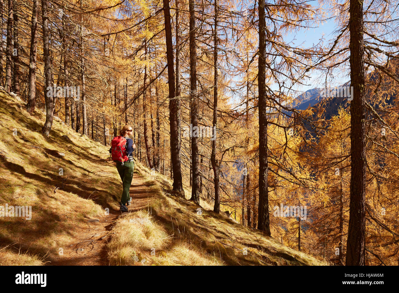 Donna che guarda la vista, Val Senales Alto Adige - Italia Foto Stock