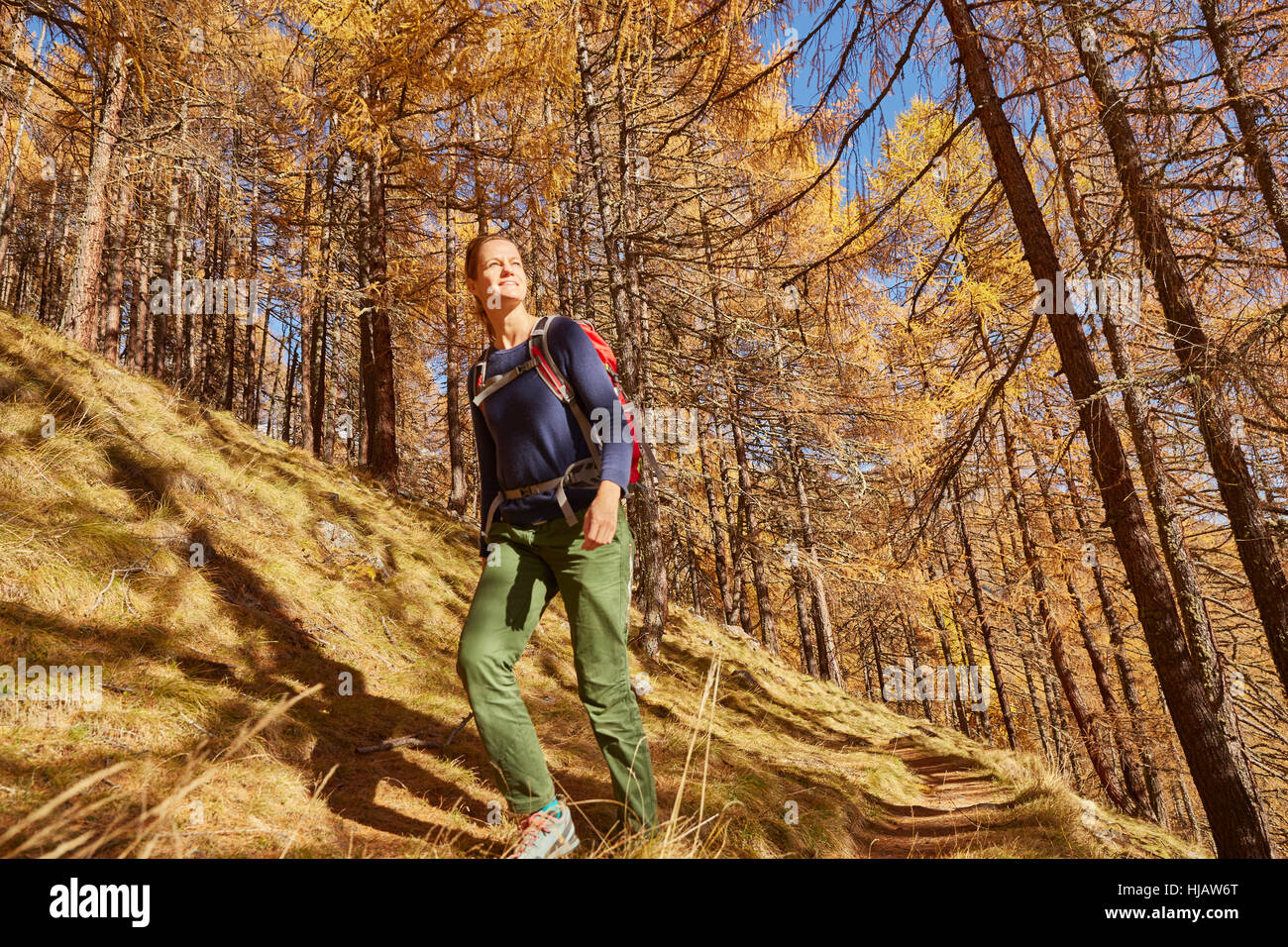 Woman Hiking, guardando a vista, a basso angolo di visione, Val Senales Alto Adige - Italia Foto Stock