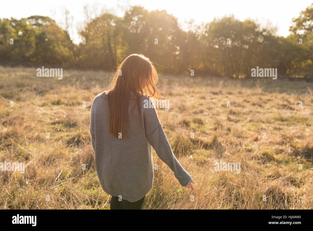 Giovane donna camminare attraverso il campo in autunno, vista posteriore Foto Stock