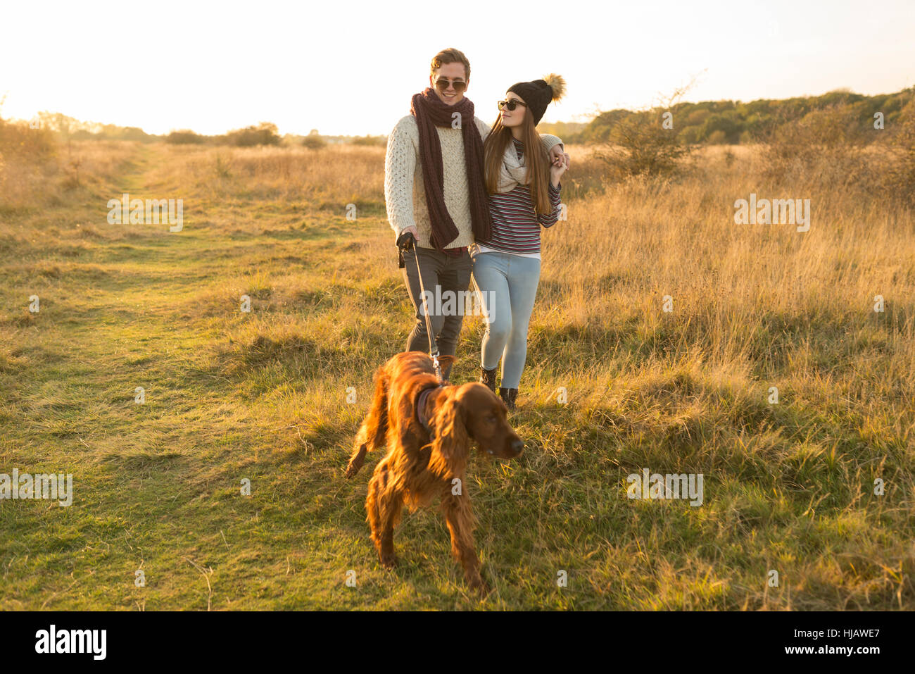 Coppia giovane cane a camminare nel campo Foto Stock