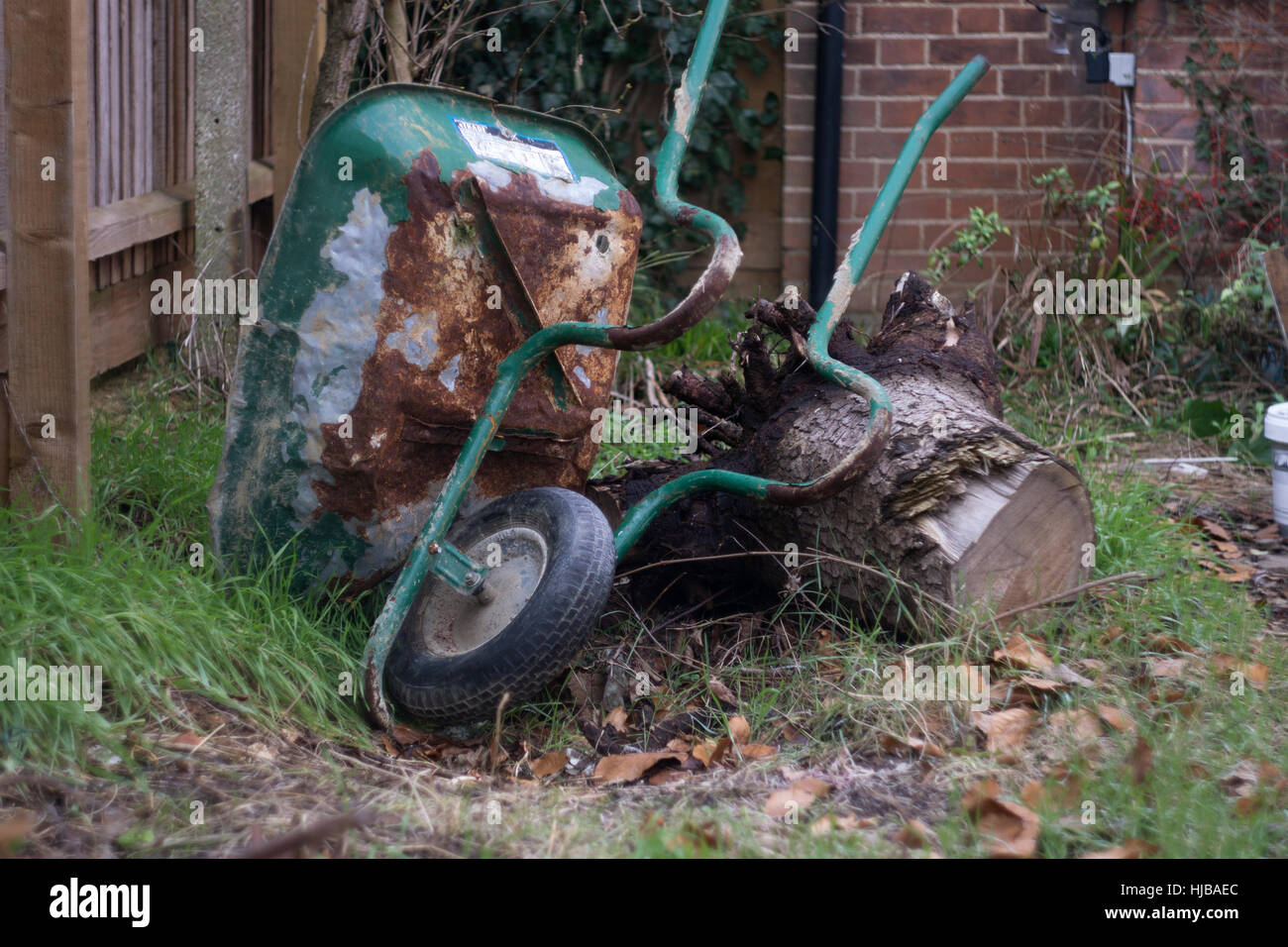 Bizzarro incidente di giardinaggio Foto Stock