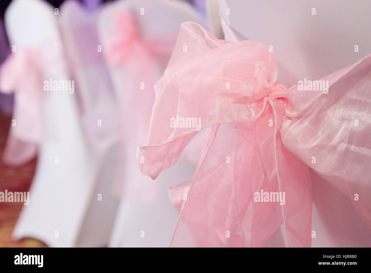 Nastri rosa su bianco sedie a un ricevimento di matrimonio foto di Adam Tiernan Thomas Foto Stock