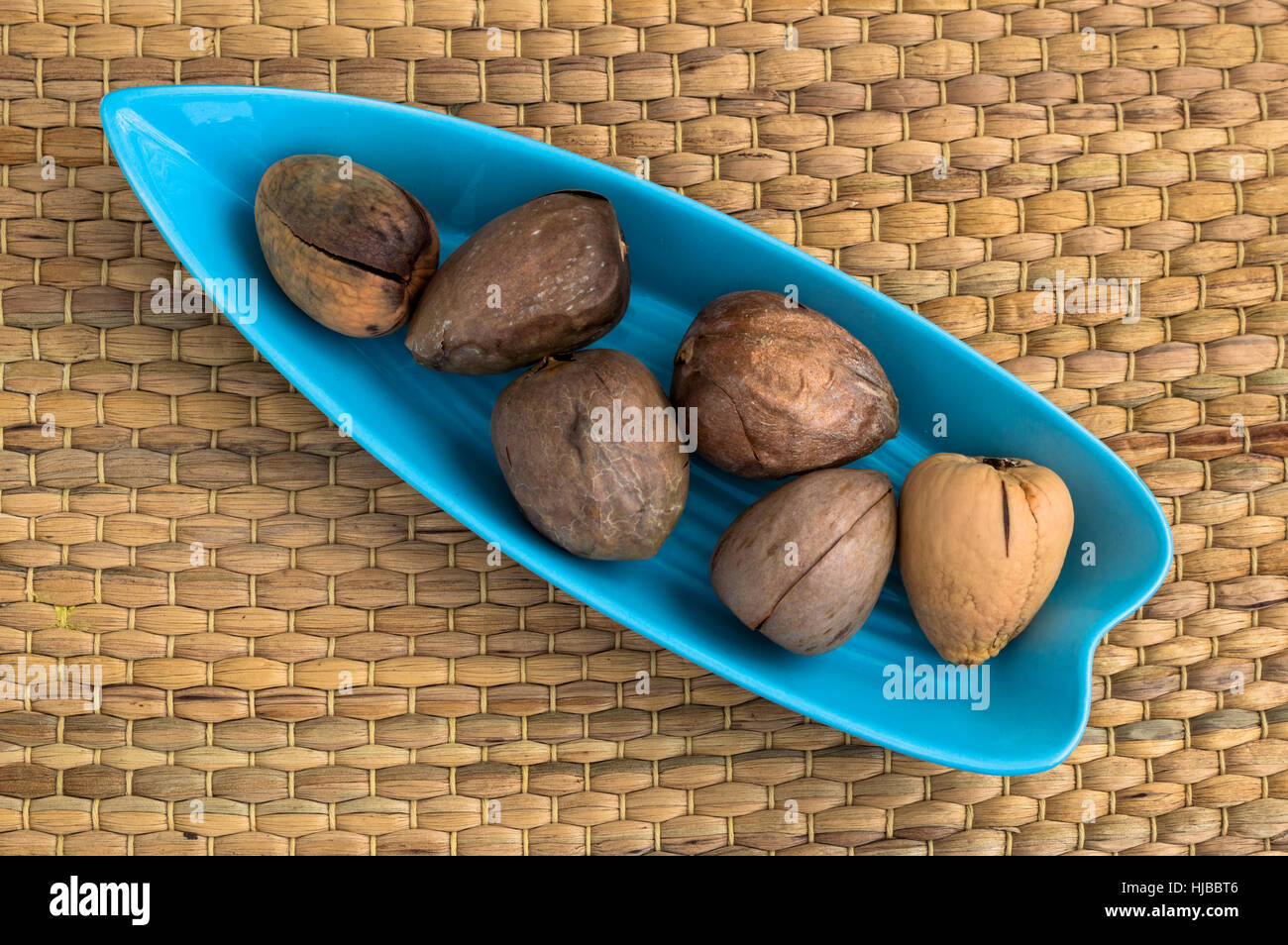 Gruppo di semi di Avocado servito in una piastra di colore blu Foto Stock