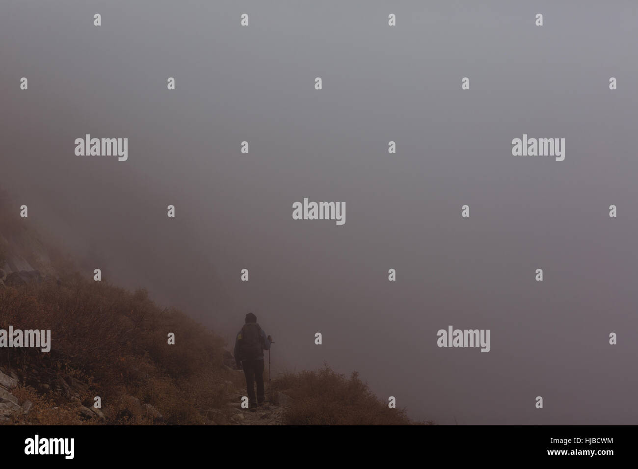 Vista posteriore dei maschi di escursionista trekking di montagna nebbioso via, minerale re, Sequoia National Park, California, Stati Uniti d'America Foto Stock