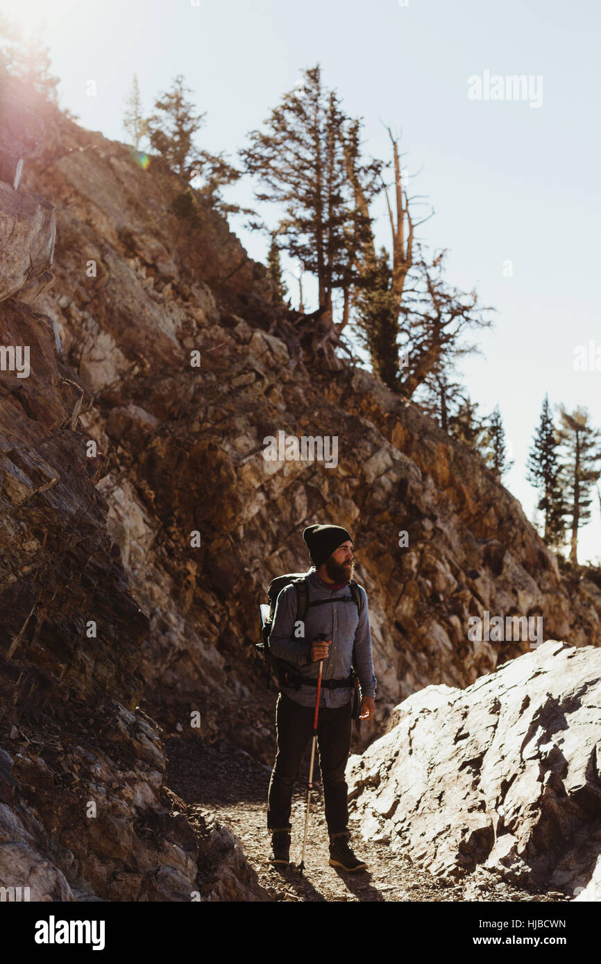 Escursionista maschio escursionismo sulla pista di montagna, minerale re, Sequoia National Park, California, Stati Uniti d'America Foto Stock