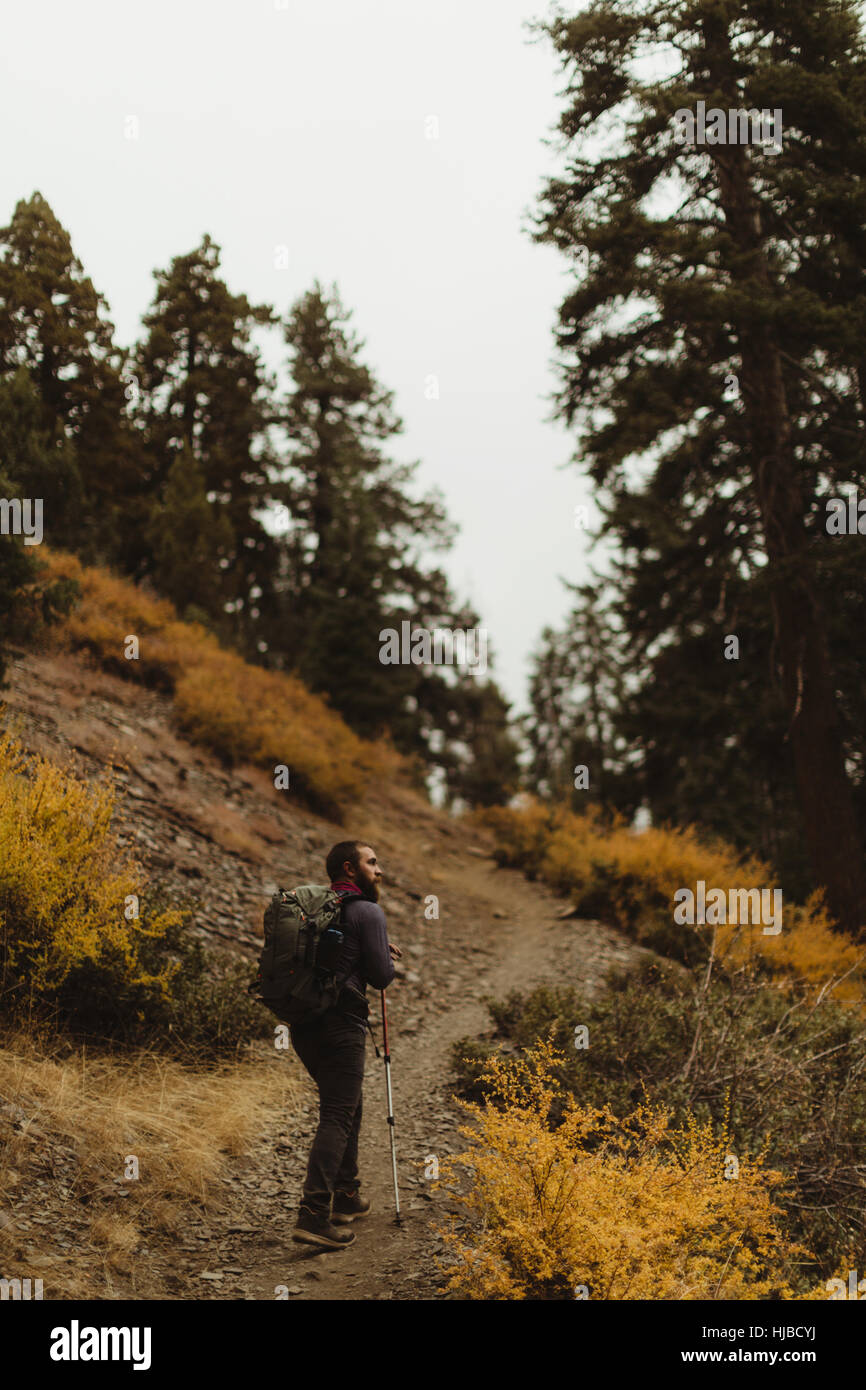 Vista posteriore dei maschi di escursionista escursioni fino via montagna, minerale re, Sequoia National Park, California, Stati Uniti d'America Foto Stock