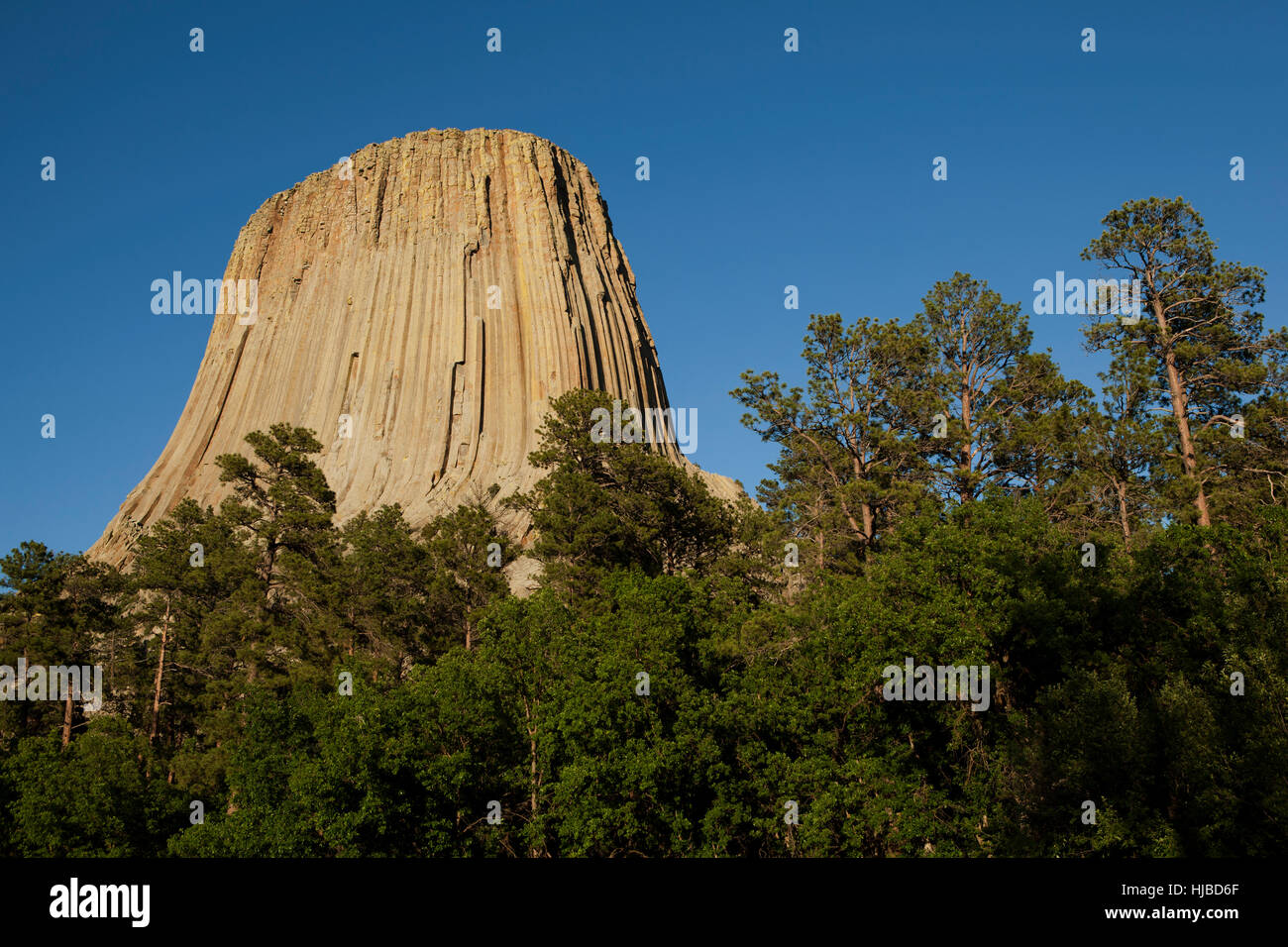 Devil's Tower monumento nazionale, Wyoming USA Foto Stock