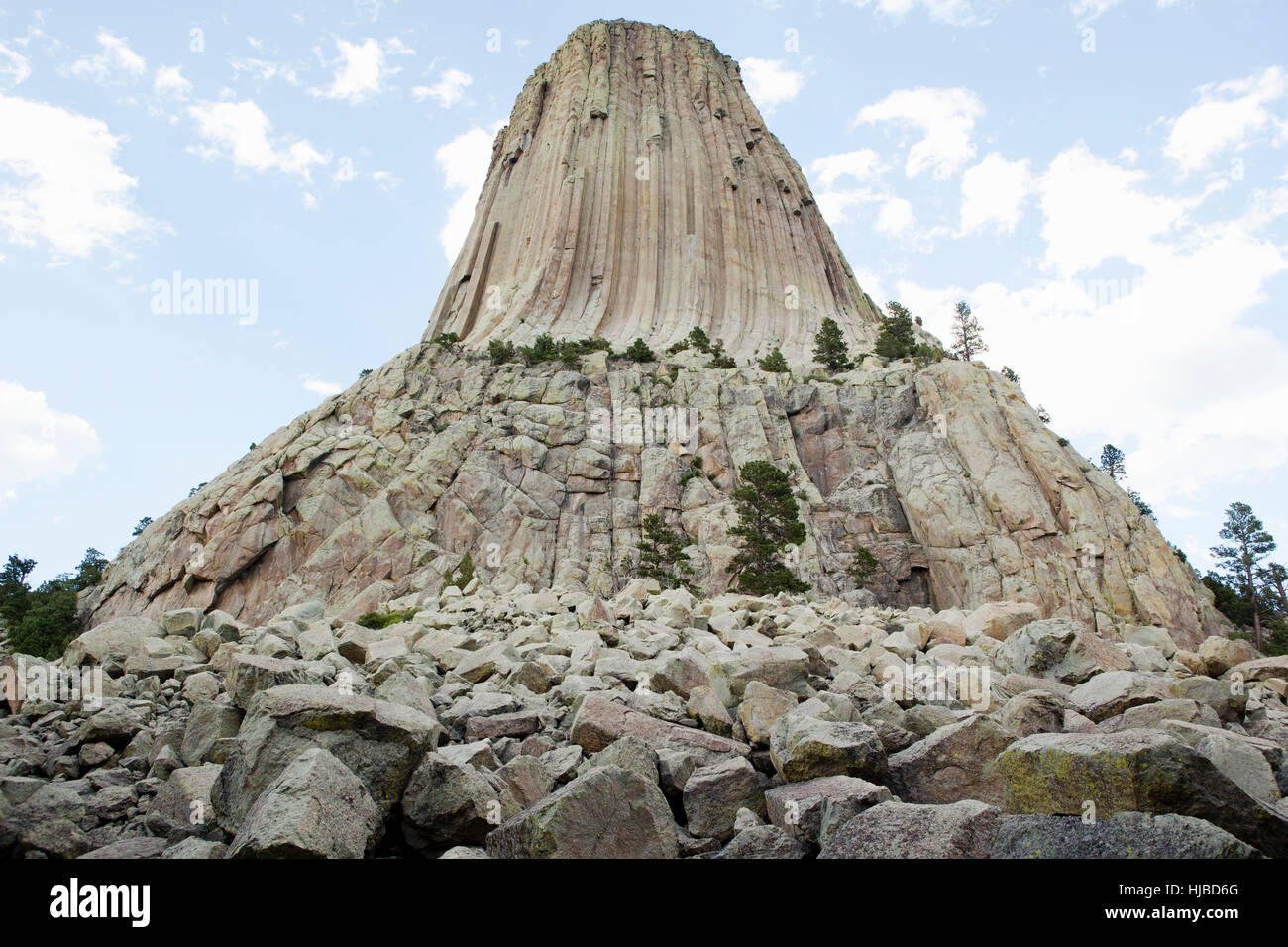 Devil's Tower monumento nazionale, Wyoming USA Foto Stock