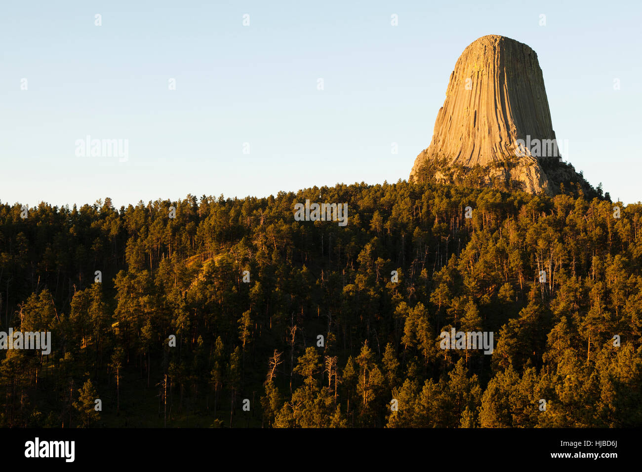 Devil's Tower monumento nazionale, Wyoming USA Foto Stock