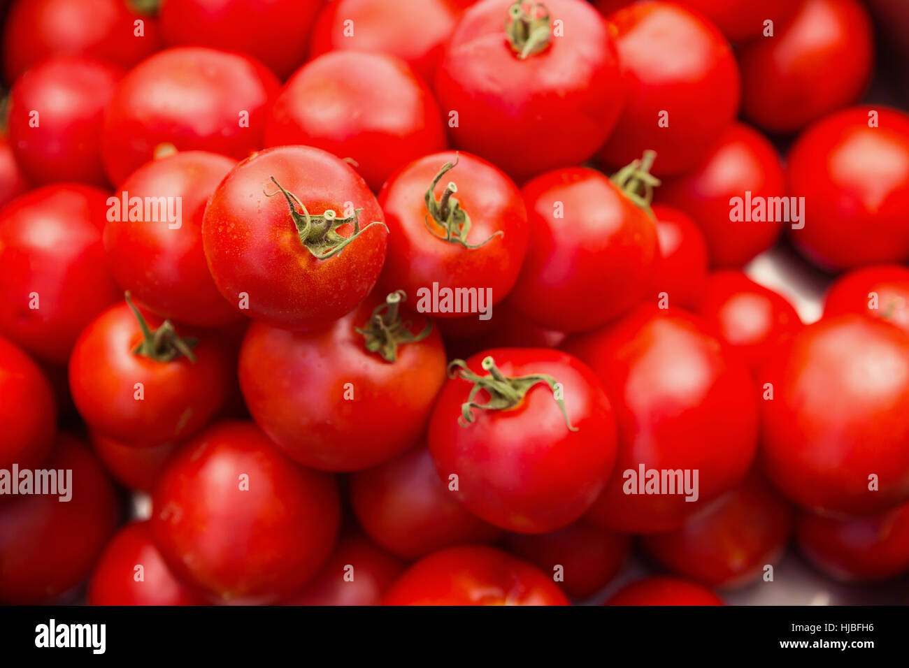 Vicino di casa coltivati pomodori organici Foto Stock