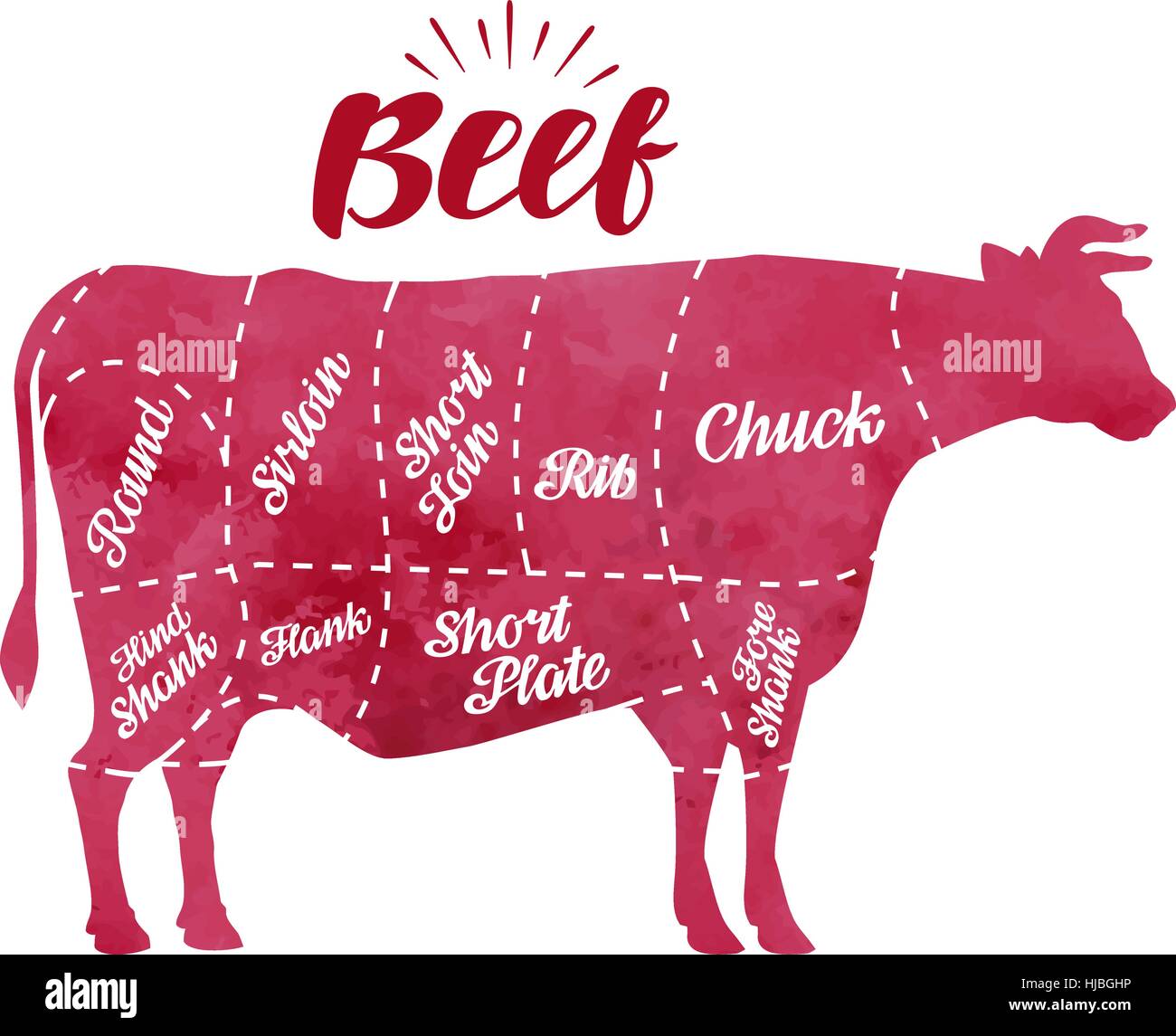 Schema di taglio di carne di vacca. Macelleria, Bull, carni bovine illustrazione vettoriale Illustrazione Vettoriale