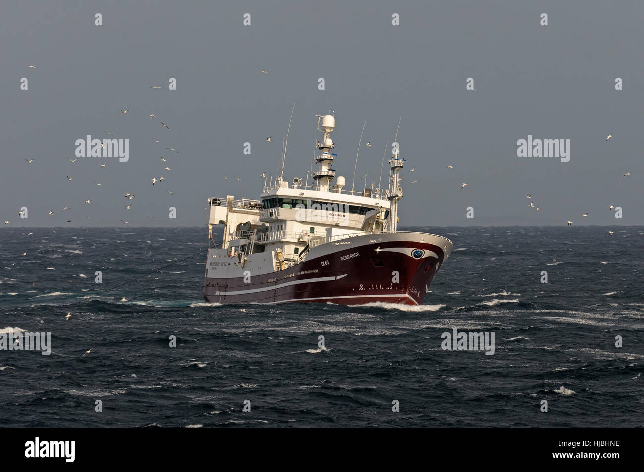 Pescherecci con reti da traino pelagiche "Ricerca" Pesca dello sgombro al largo della costa orientale del Shetland. Ottobre 2011. Foto Stock
