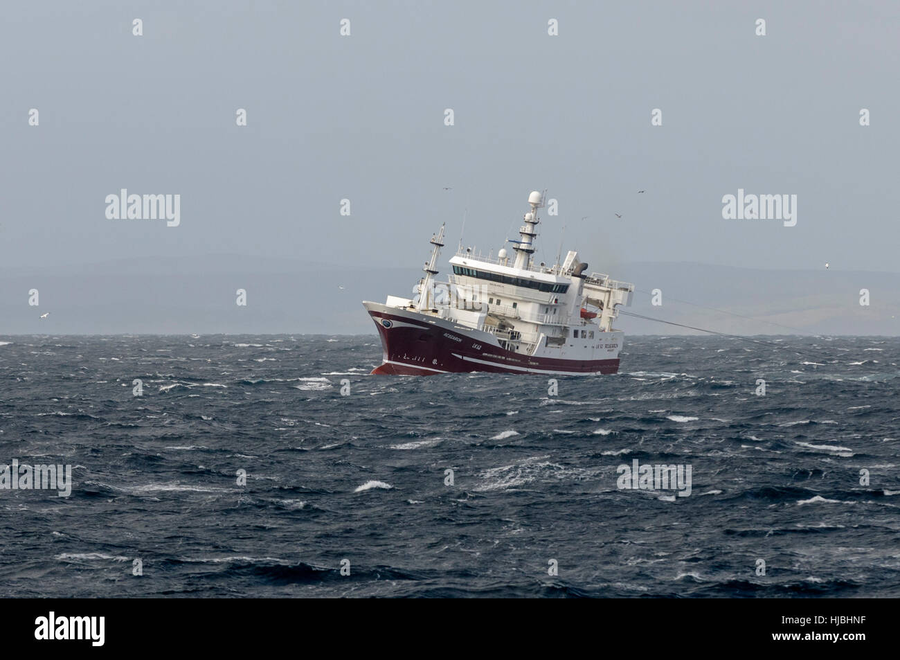Pescherecci con reti da traino pelagiche "Ricerca" Pesca dello sgombro al largo della costa orientale del Shetland. Ottobre 2011. Foto Stock