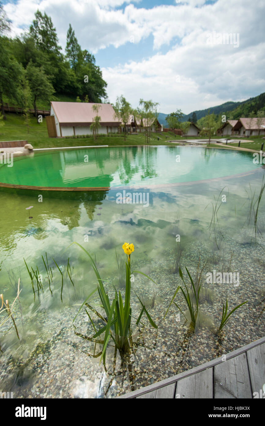 Piscina naturale Foto Stock