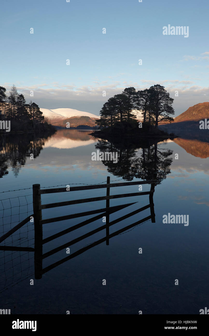 Serata della luce del sole catture la neve piste innevate di Skiddaw e Blencathra riflessa nella Derwent Water Lake District, Cumbria Foto Stock