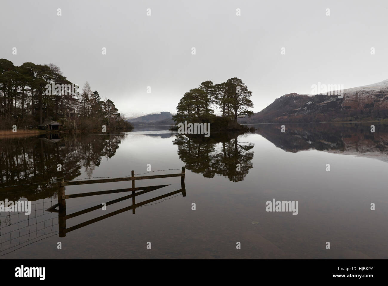 Montagne, una recinzione e gli alberi si riflette nella calma superficie di Derwent Water, Keswick, Cumbria, Lake District, England Regno Unito Foto Stock