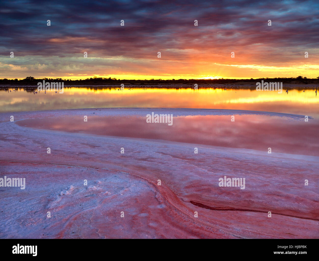 Tramonto sulla soluzione salina lago di drenaggio, Lambert's Swamp. Situato nel lontano nord occidentale del Victoria, Australia. Cristallizzato sale rosa si illumina di rosa ho Foto Stock