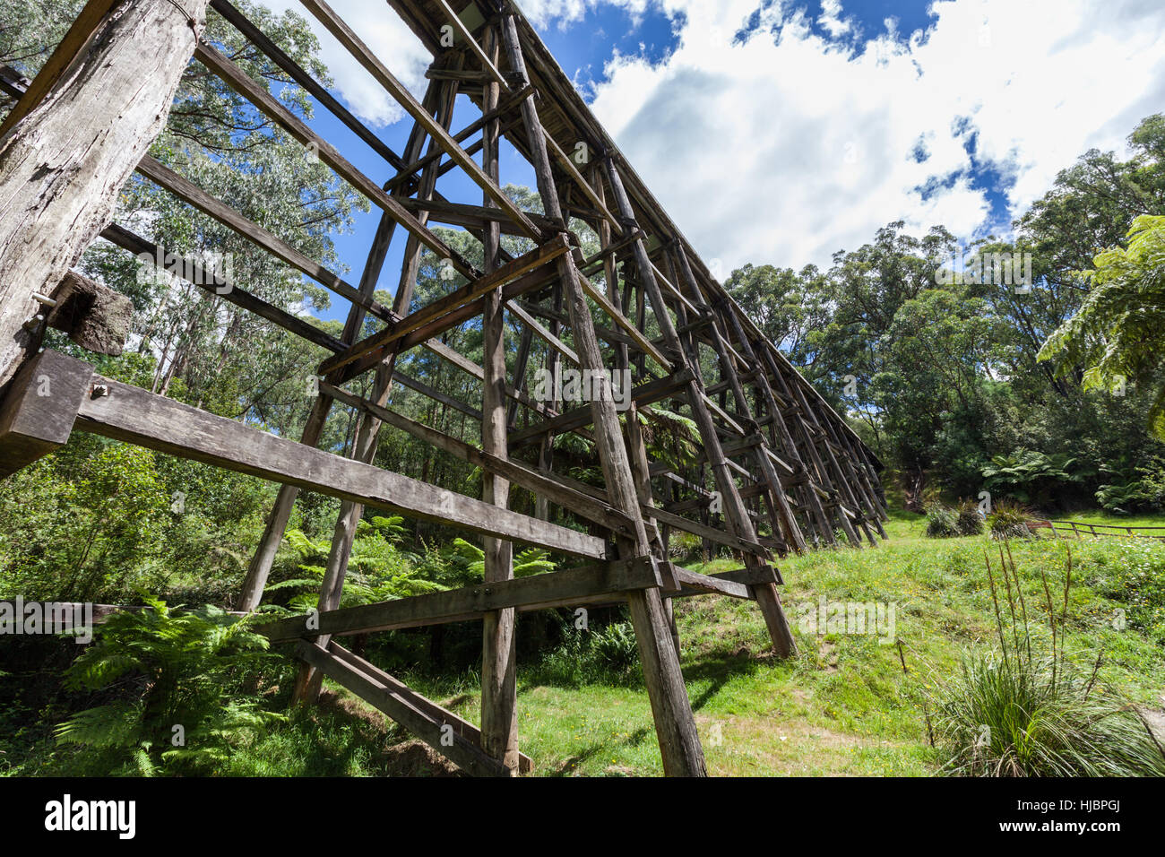 Vintage ponte a traliccio in Australian foresta di eucalipti Foto Stock