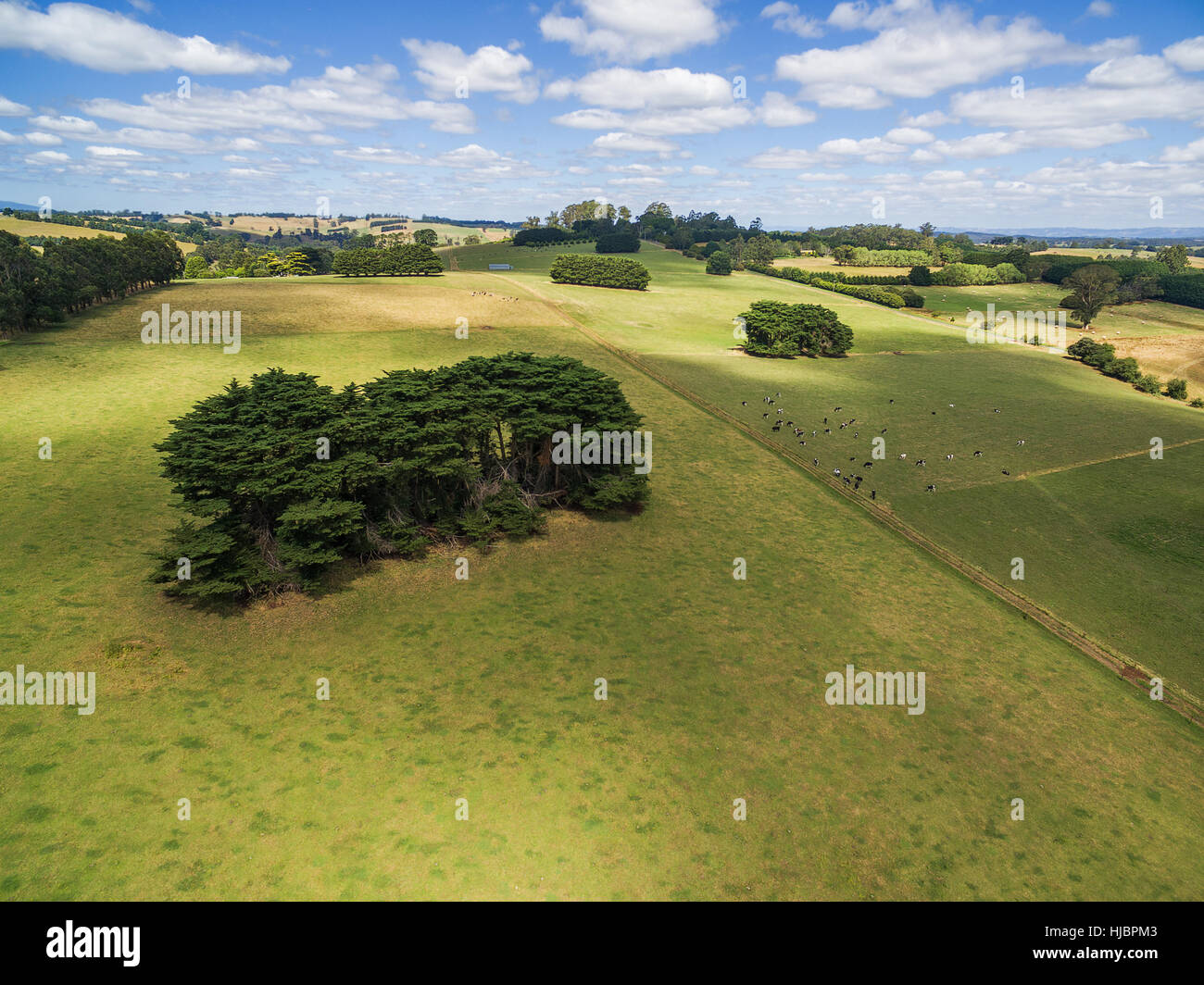 Il verde dei prati della campagna australiana - paesaggio di antenna Foto Stock