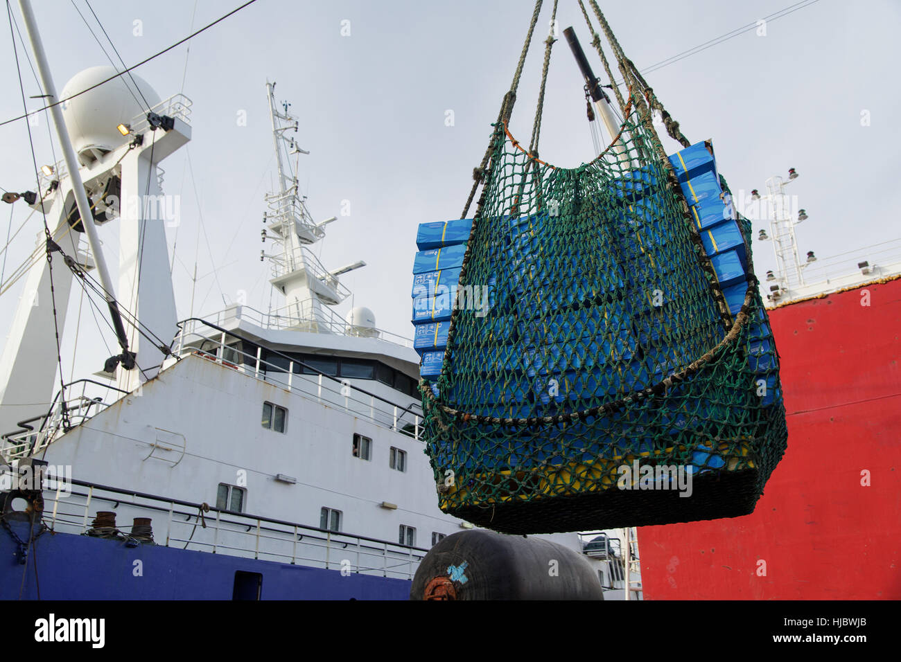 Sovraccarico del pesce congelato prodotti. Foto Stock