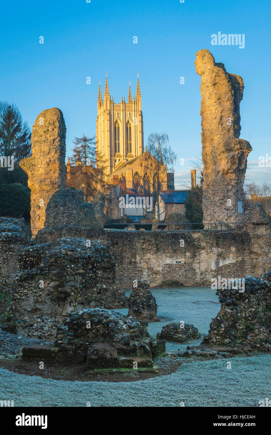 Inverno Suffolk, vista su una mattina invernale del sito della rovinata abbazia medievale in Bury St Edmunds, Suffolk, Foto Stock