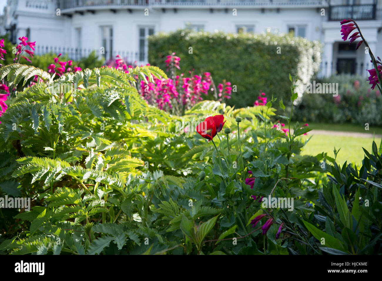 Architettura Regency e giardini. Lewes Crescent, Brighton. Foto Stock