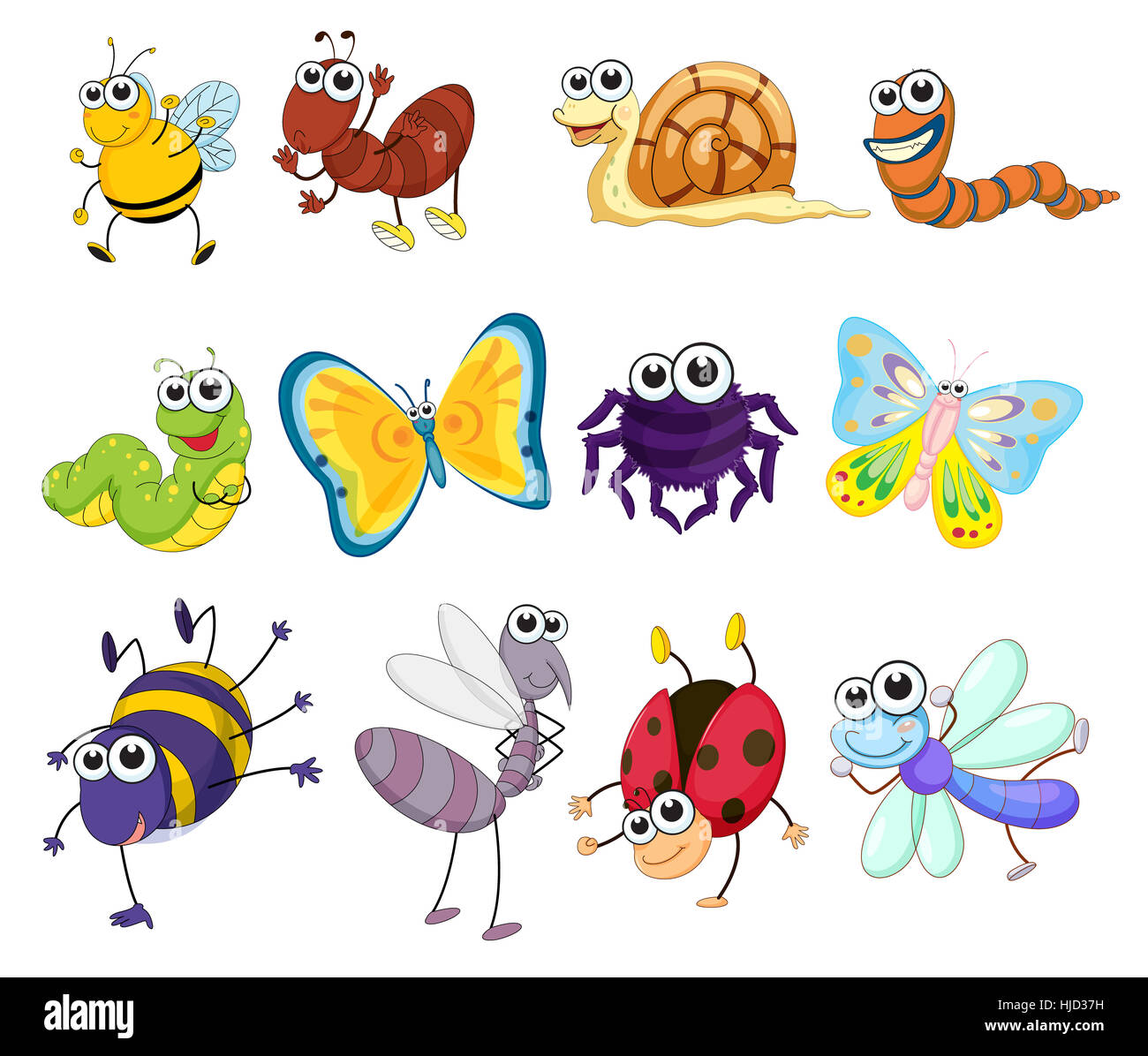 Animale, mollusco, ant, verde, butterfly, piccolo, minuscolo, poco, breve, spider, Foto Stock