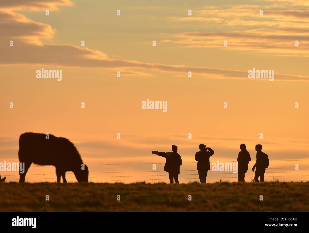 Devil's Dyke, East Sussex 23 gennaio 2017 sulle colline del South Downs National Park vicino a Brighton salire al di sopra della nebbia al tramonto. ©Peter Cripps/Alamy Live News Foto Stock