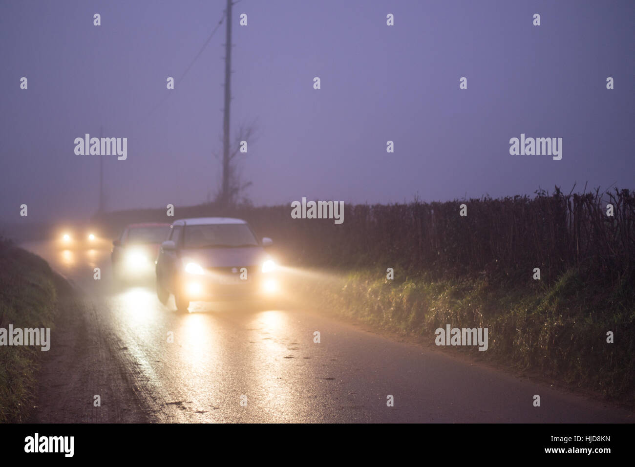 Cardiff, Regno Unito. 24 gen 2017. Pendolari sperimentato condizioni di marcia difficili come il congelamento coperto nebbia la zona vicino a St Mellons, Cardiff, oggi 24 gennaio 2017. Credito: Chris Stevenson/Alamy Live News Foto Stock