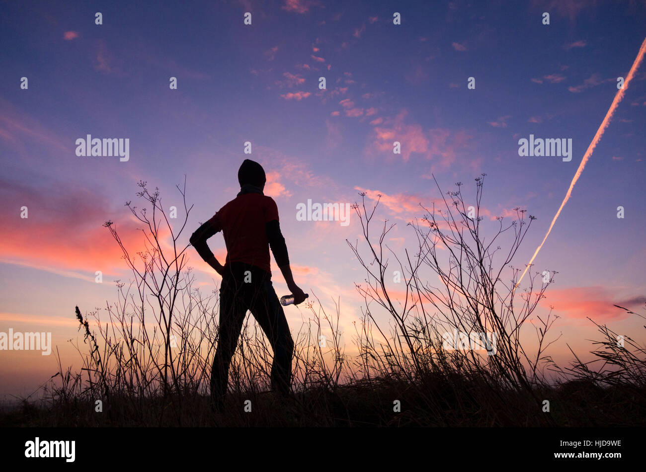 Billingham, Regno Unito. 24 gen 2017. Meteo: jogging all alba di un chiaro e gelido mattino in Cowpen Bewley Woodland park vicino a Billingham, a nord-est dell' Inghilterra. Credito: ALAN DAWSON/Alamy Live News Foto Stock