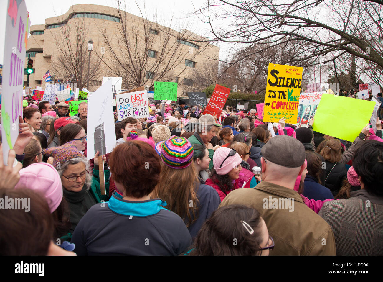 Washington, Stati Uniti d'America. Gennaio 21st, 2017. Le donne di marzo su Washington, DC: donne (e uomini) hanno protestato Presidente Trump's posizioni su donne e altri diritti umani. Credito: Dasha Rosato/Alamy Live News Foto Stock