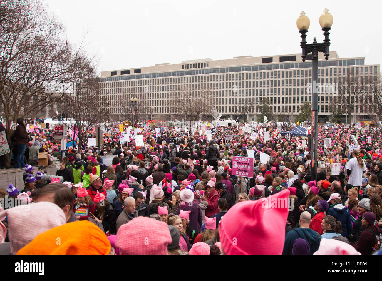 Washington, Stati Uniti d'America. Gennaio 21st, 2017. Le donne di marzo su Washington, DC: folle si radunarono sul Viale Indipendenza per ascoltare il rally di altoparlanti in segno di protesta il Presidente Trump's posizioni su donne e altri diritti umani. Credito: Dasha Rosato/Alamy Live News Foto Stock