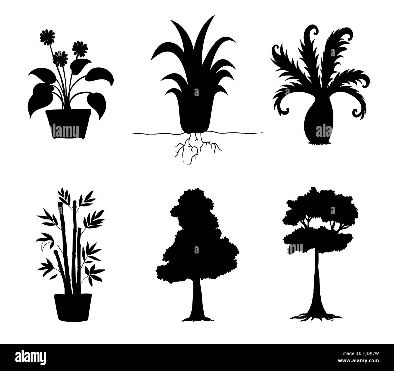 Foglia, ambiente, ambiente, isolato, albero, alberi, grafica, foglie, nero, Foto Stock