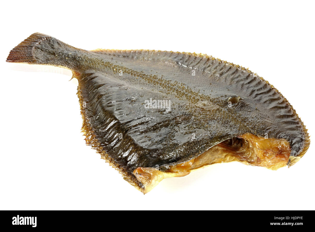 La Passera pianuzza affumicato isolati su sfondo bianco Foto Stock