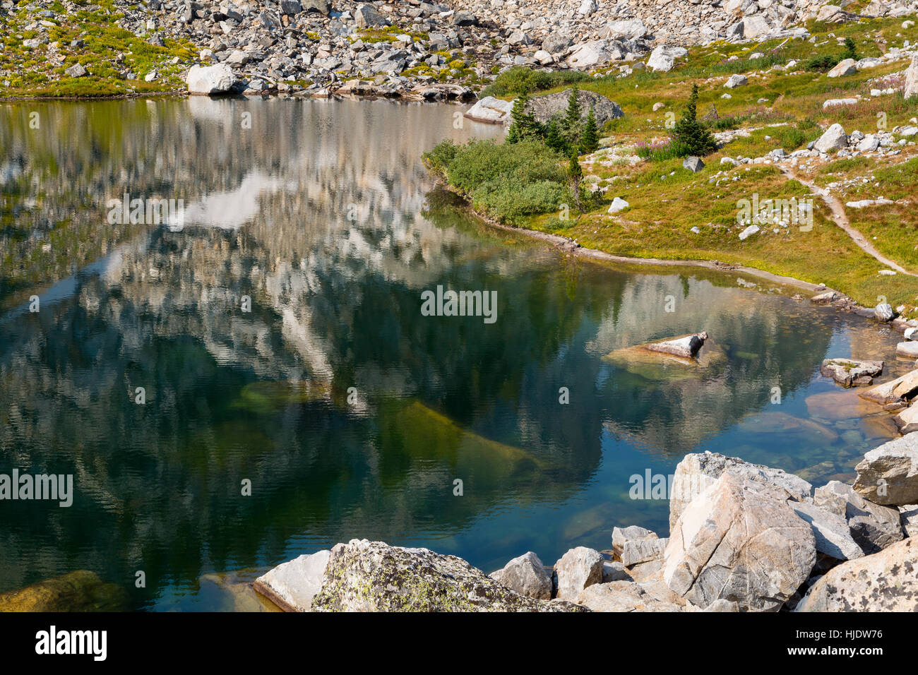 Lago di balze Trail passando attraverso un prato alpino lungo la riva del lago Ramshead. Il Parco Nazionale del Grand Teton, Wyoming Foto Stock