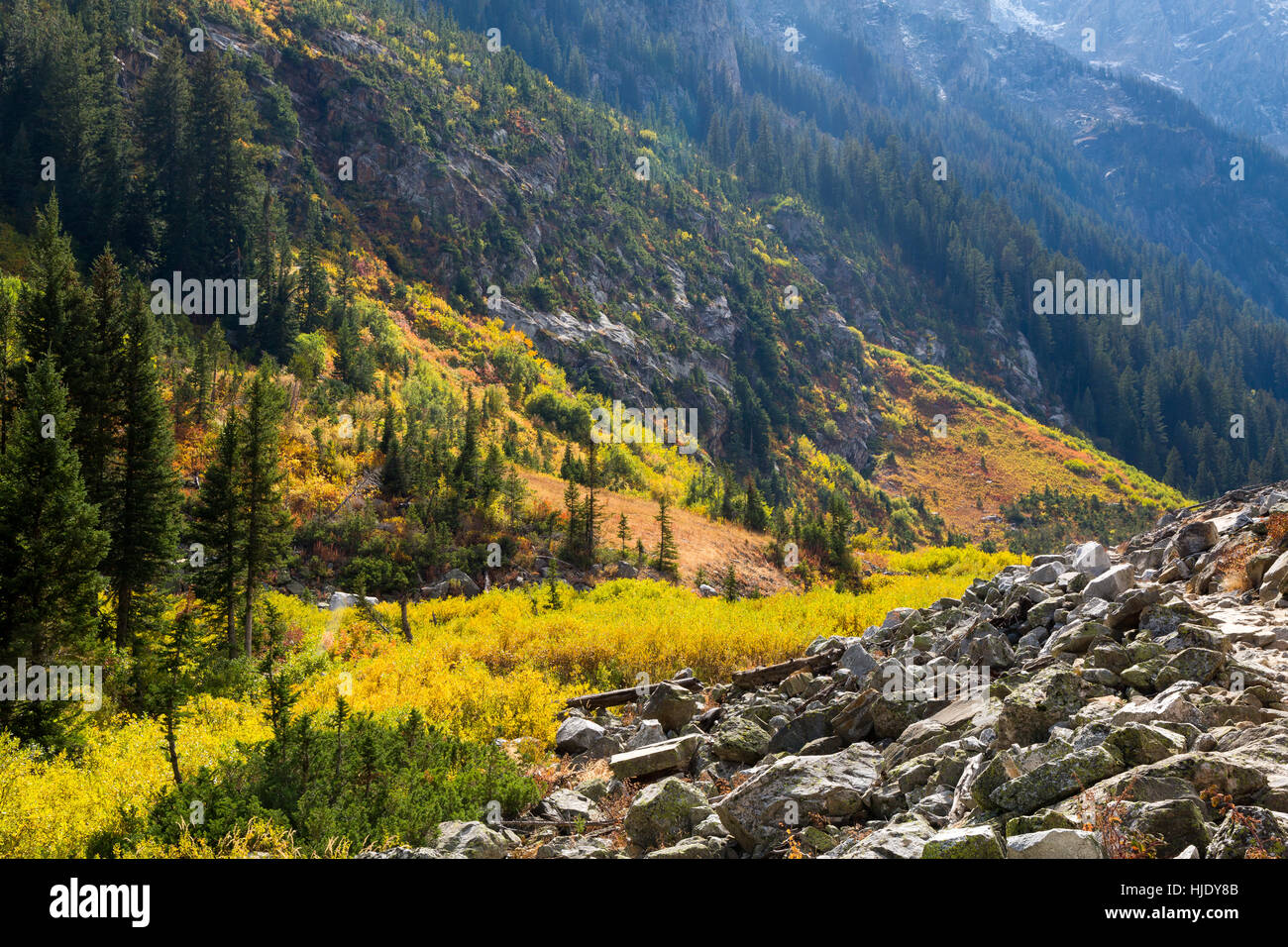 Foglie di autunno aggiungere colore alle pendici rocciose del Canyon in cascata nel Teton Mountains. Il Parco Nazionale del Grand Teton, Wyoming Foto Stock