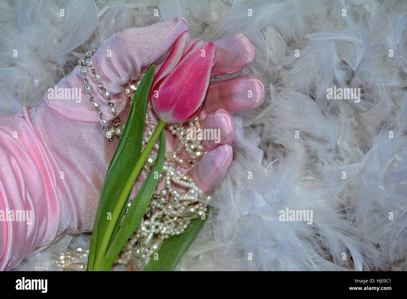 Mano con guanto rosa detiene pink tulip e catena di tallone, giace sul piume bianche Foto Stock