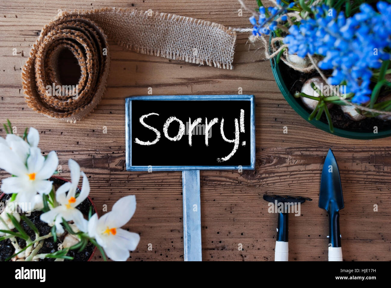 Fiori di Primavera, Segno, spiacenti di testo Foto Stock