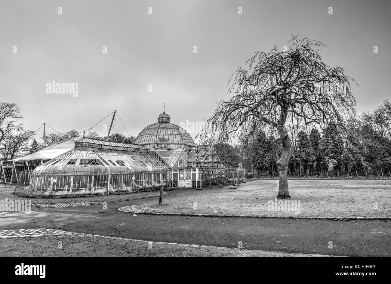Giardini d'inverno a Tollcross Park Glasgow Foto Stock