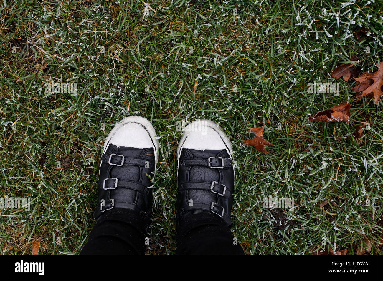 Vista da sopra sulla donna in piedi in stivali neri in piedi sul verde del prato coperto di neve, marrone lascia nel telaio, all'aperto, spazio libero per il testo Foto Stock