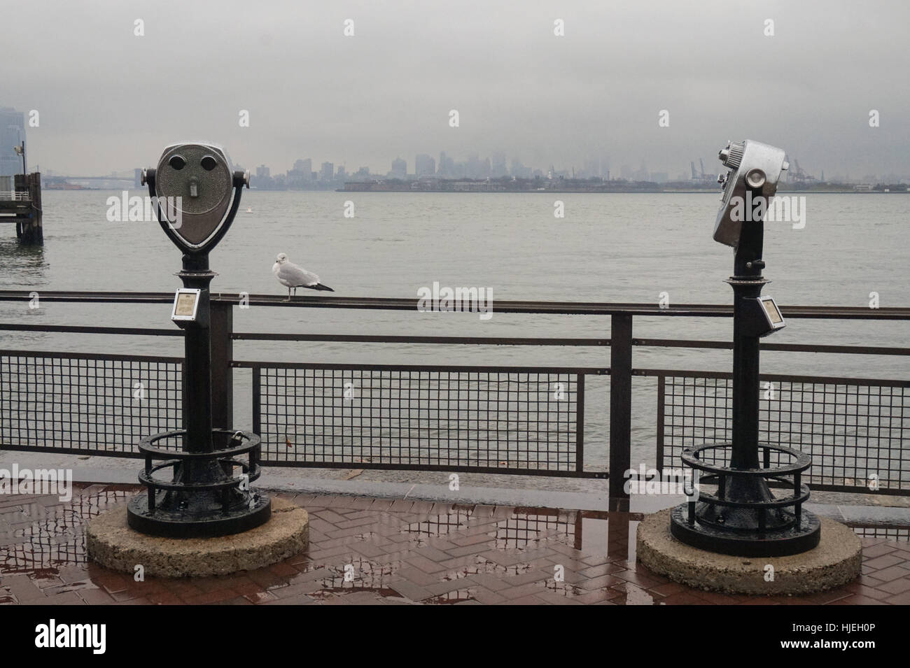 Gettoniera binocolo su Liberty Island, New York City Foto Stock