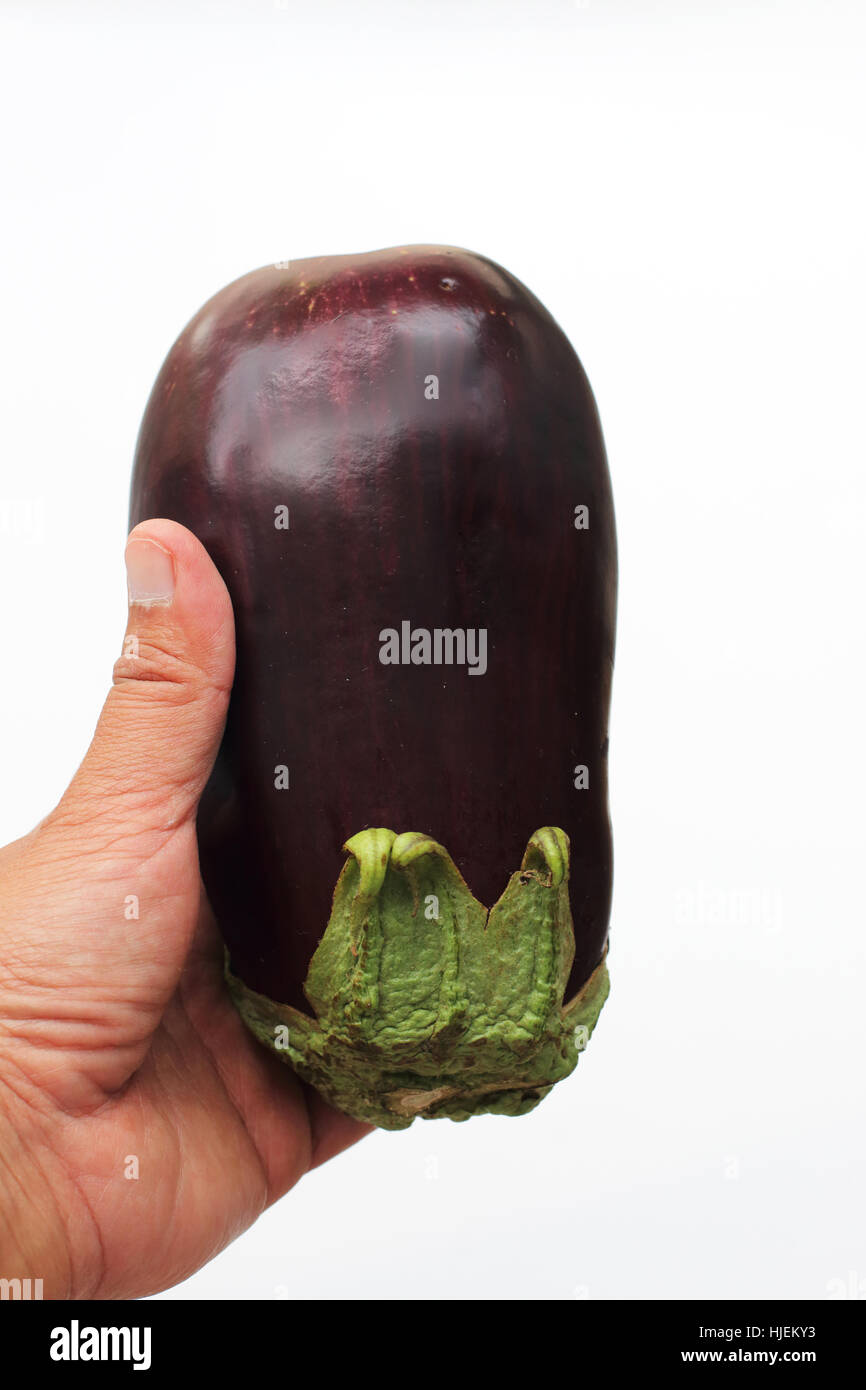 Viola melanzane, brinjal o di melanzana isolata contro uno sfondo bianco Foto Stock