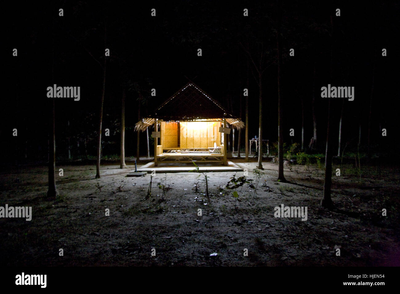 Abitazione calda nella foresta scura Foto Stock