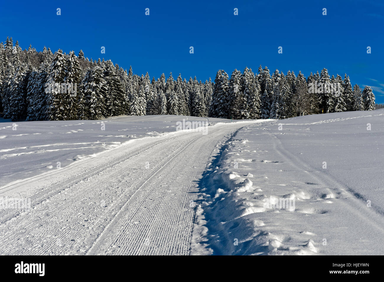 Pista di Sci di fondo via Trans-Jura svizzero, Saint-Cergue, Giura svizzero del cantone di Vaud, Svizzera Foto Stock