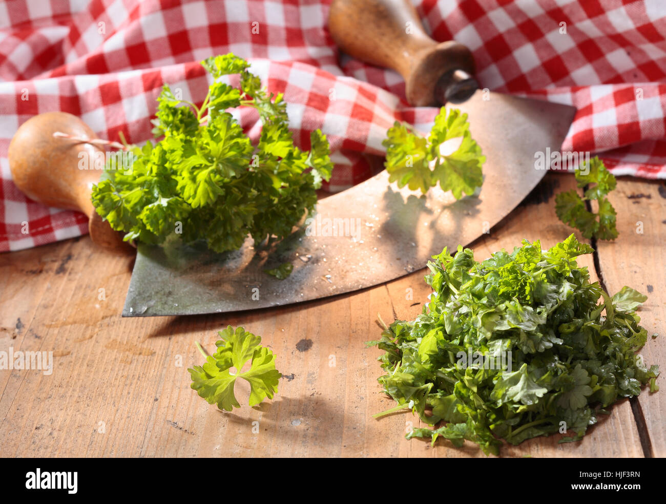 Cibo, aliment, salute, condimento, modello, design, progetto concetto, pianificazione progetto Foto Stock