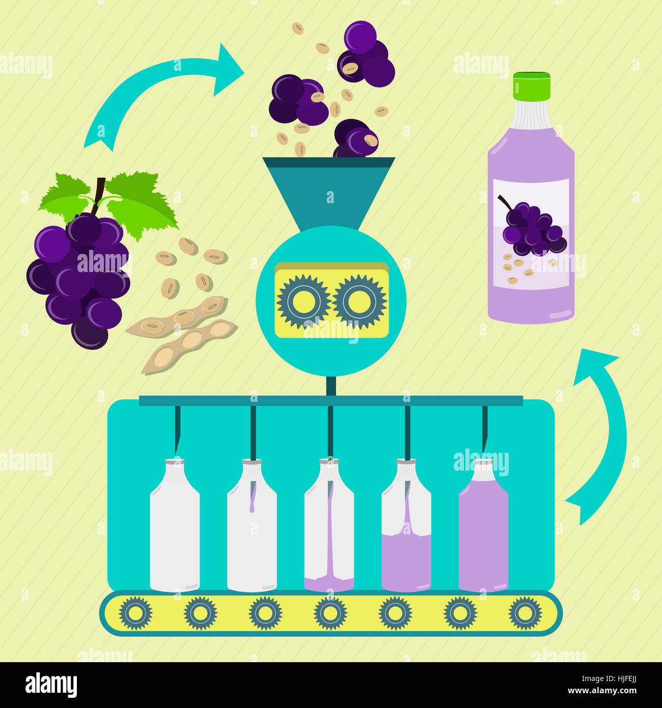 Mosti di uve e il succo di soia la produzione in serie. Uve fresche e pod di fagioli di soia con la soia in lavorazione. Uva in bottiglia e il succo di soia. Illustrazione Vettoriale