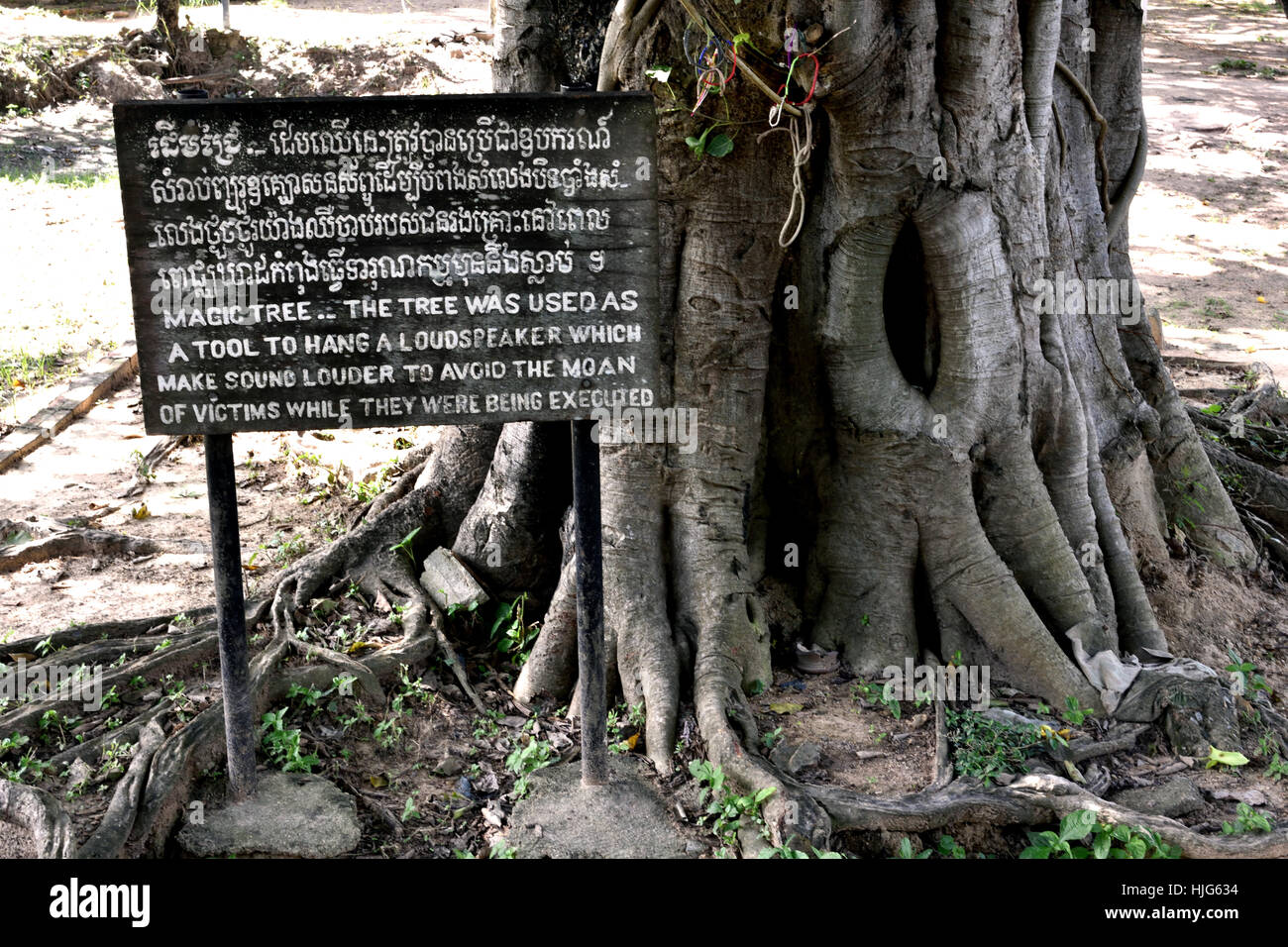 Albero magico - Memorial Site - i Killing Fields - Choeung Ek, Museo della Cambogia ( fossa comune delle vittime da Pol Pot - Khmer rossi dal 1963 - 1997. ) Phnom Penh Cambogia Foto Stock