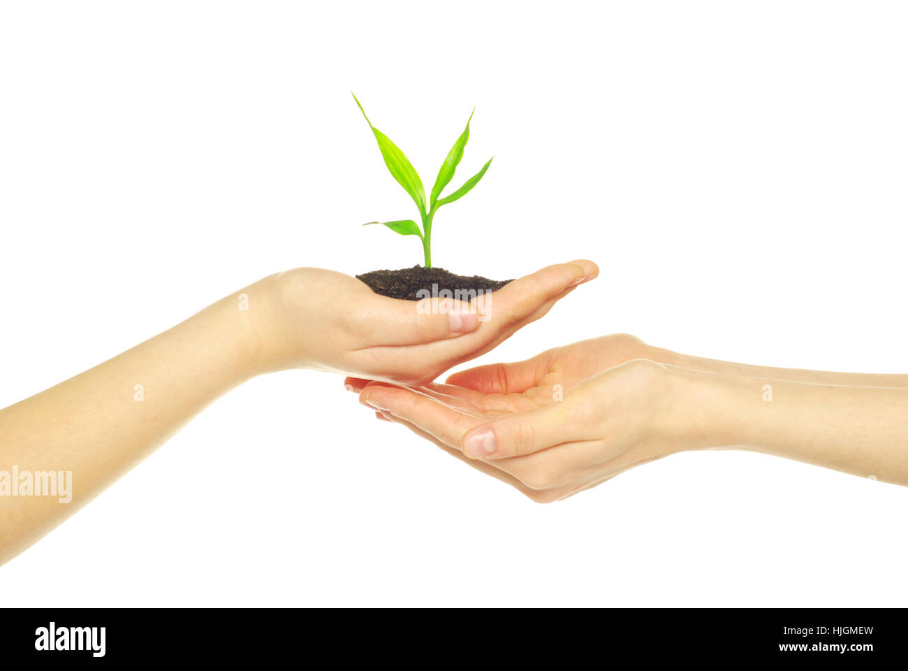 Donna, gli esseri umani e la tratta di esseri umani, persone, folk, persone, umana, essere umano, una mano, Foto Stock