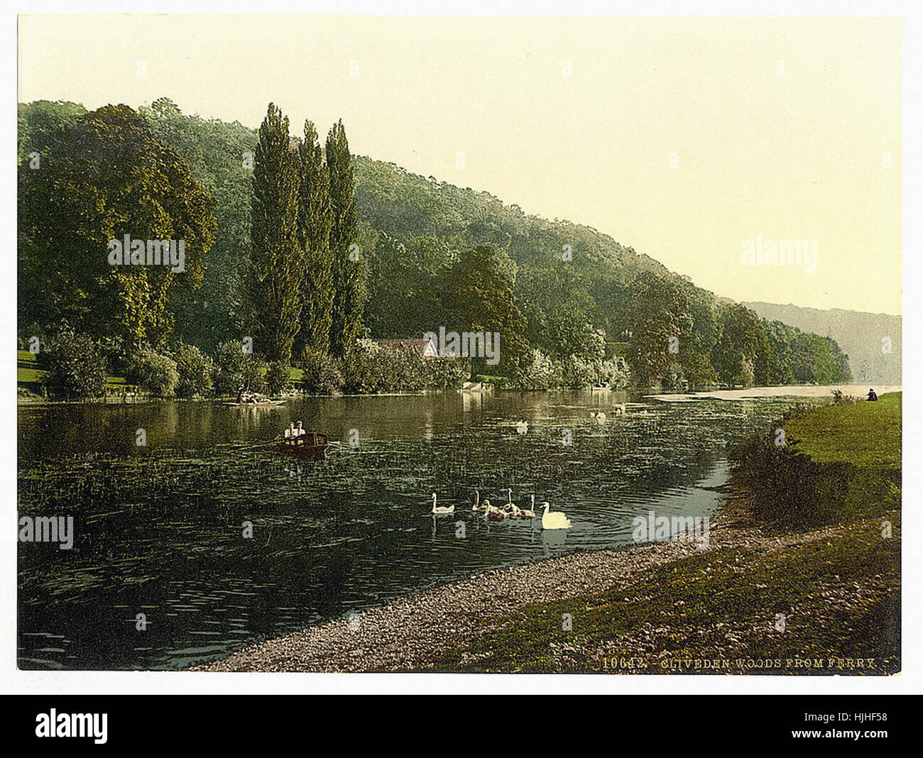 Cliveden boschi, dal traghetto, Londra e sobborghi, Inghilterra - Photochrom XIX SECOLO Foto Stock